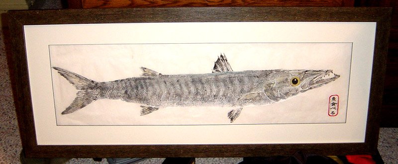 Barracuda Fishing - barracuda art