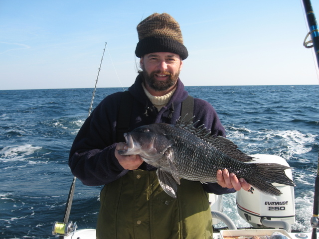 Black Sea Bass Fishing - sea bass art