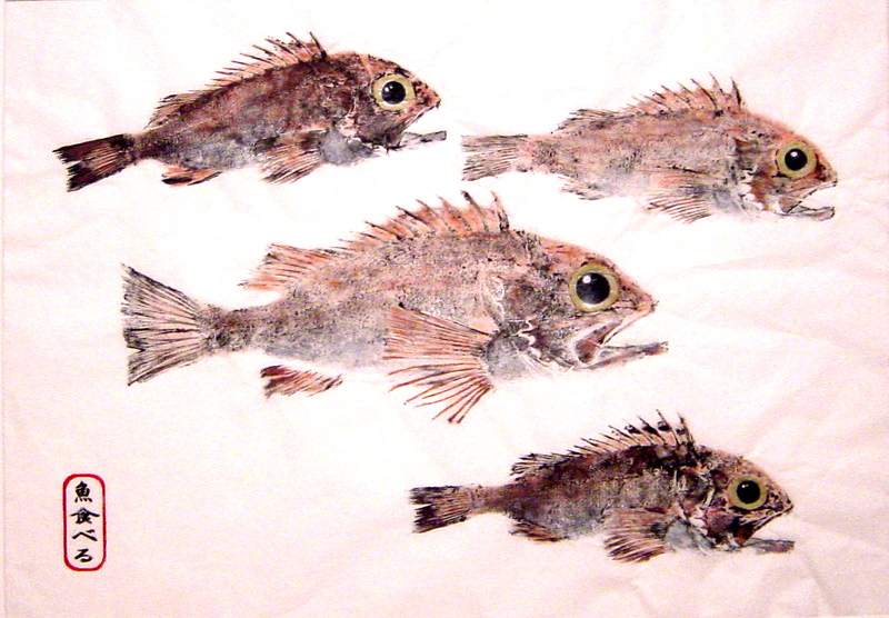 Blackbelly Rosefish Fishing - Blackbelly Rosefish art