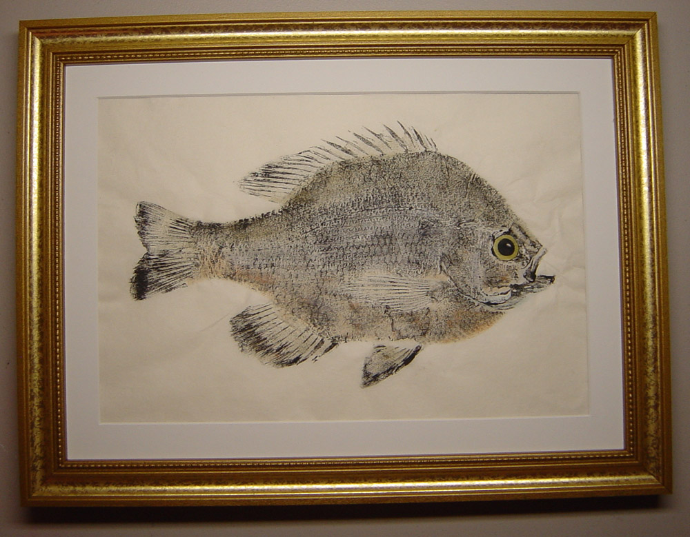 Bluegill Fishing - Bluegill art