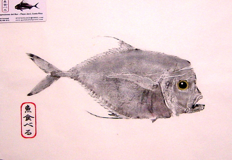Moonfish Fishing - Moonfish art
