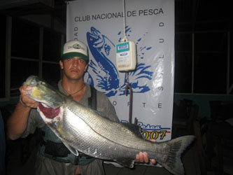 snook Fishing Costa Rica - Black Snook