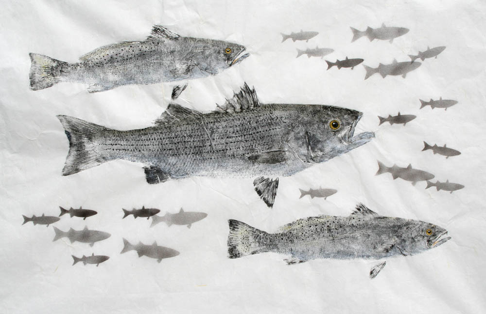 Striped Bass Speckled Trout Gyotaku Rubbing