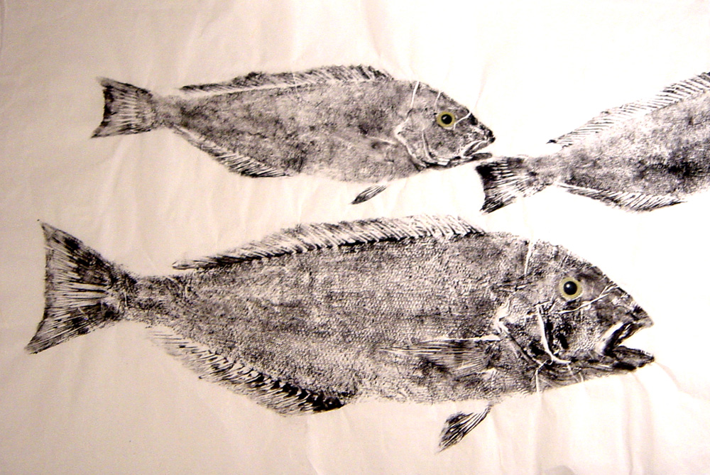 Blueline Tilefish Fishing - Tilefish art