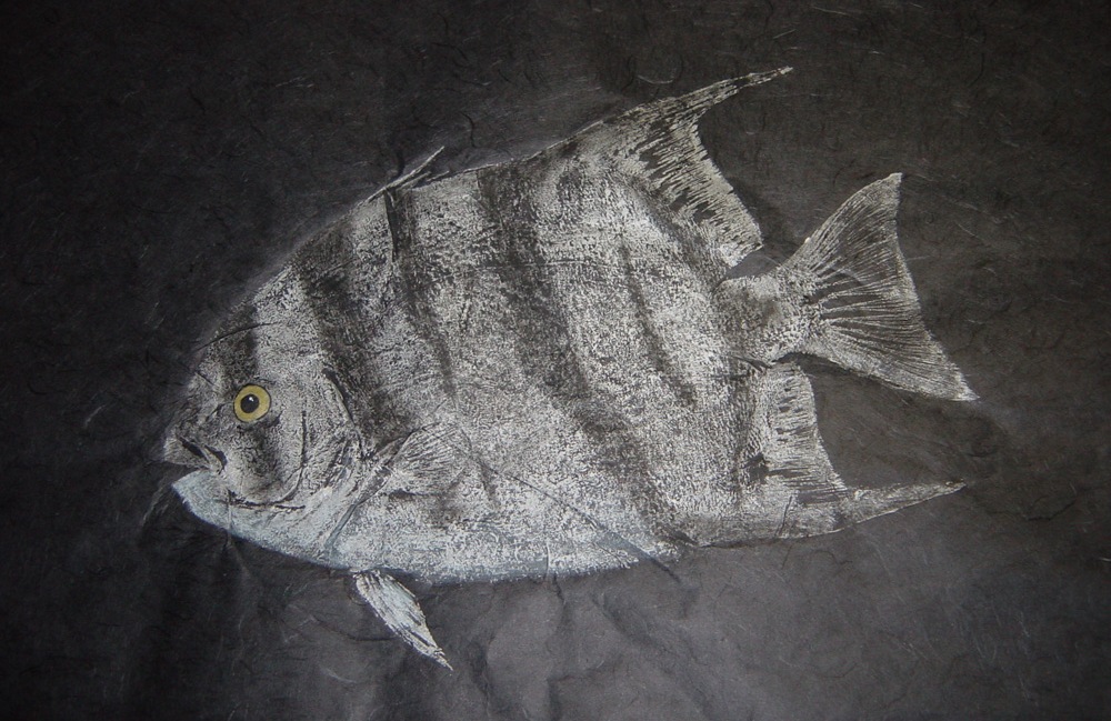 Spadefish Gyotaku Rubbing