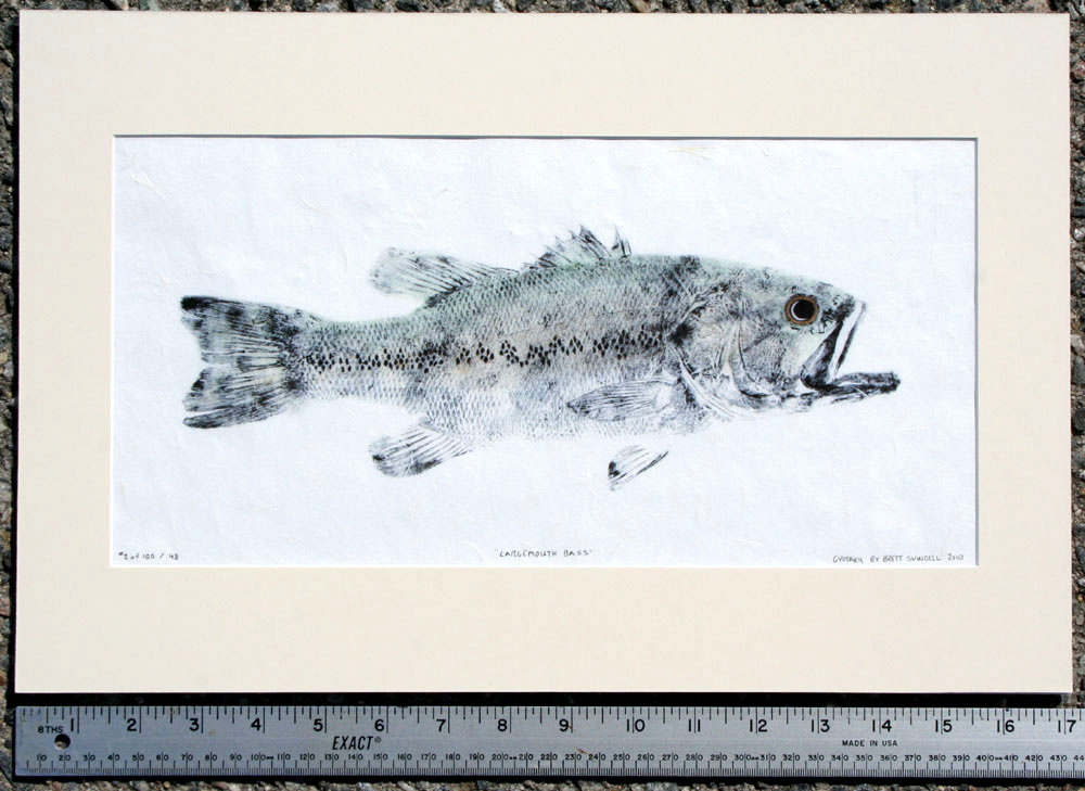 Largemouth Bass Giclee Print