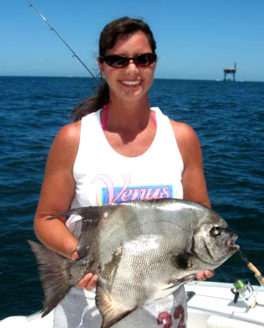 Atlantic Spadefish Fishing - spadefish art