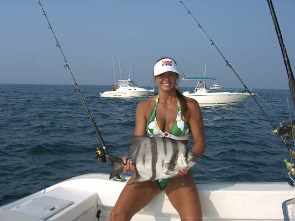 Atlantic Spadefish fishing in Virginia