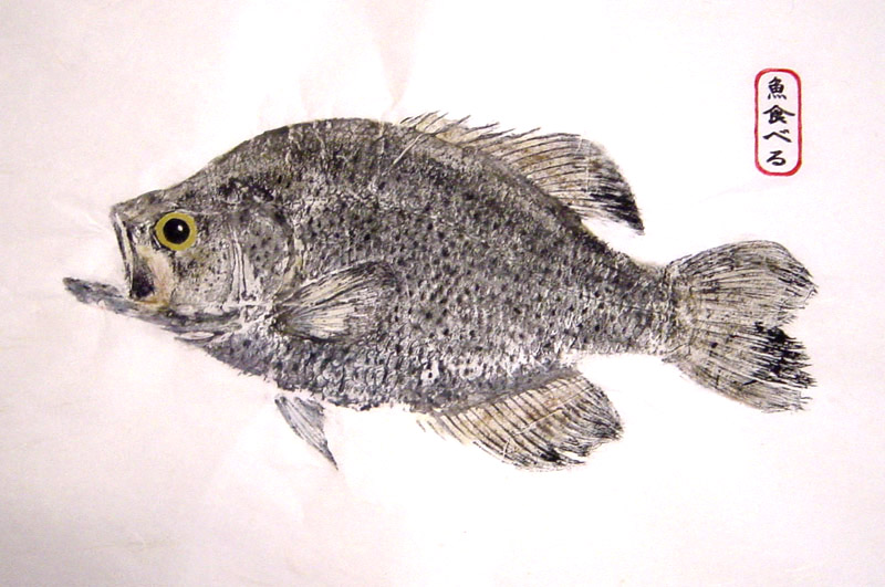 Black Crappie Fishing - Crappie art