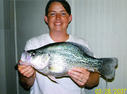 Black Crappie Fishing - Crappie art