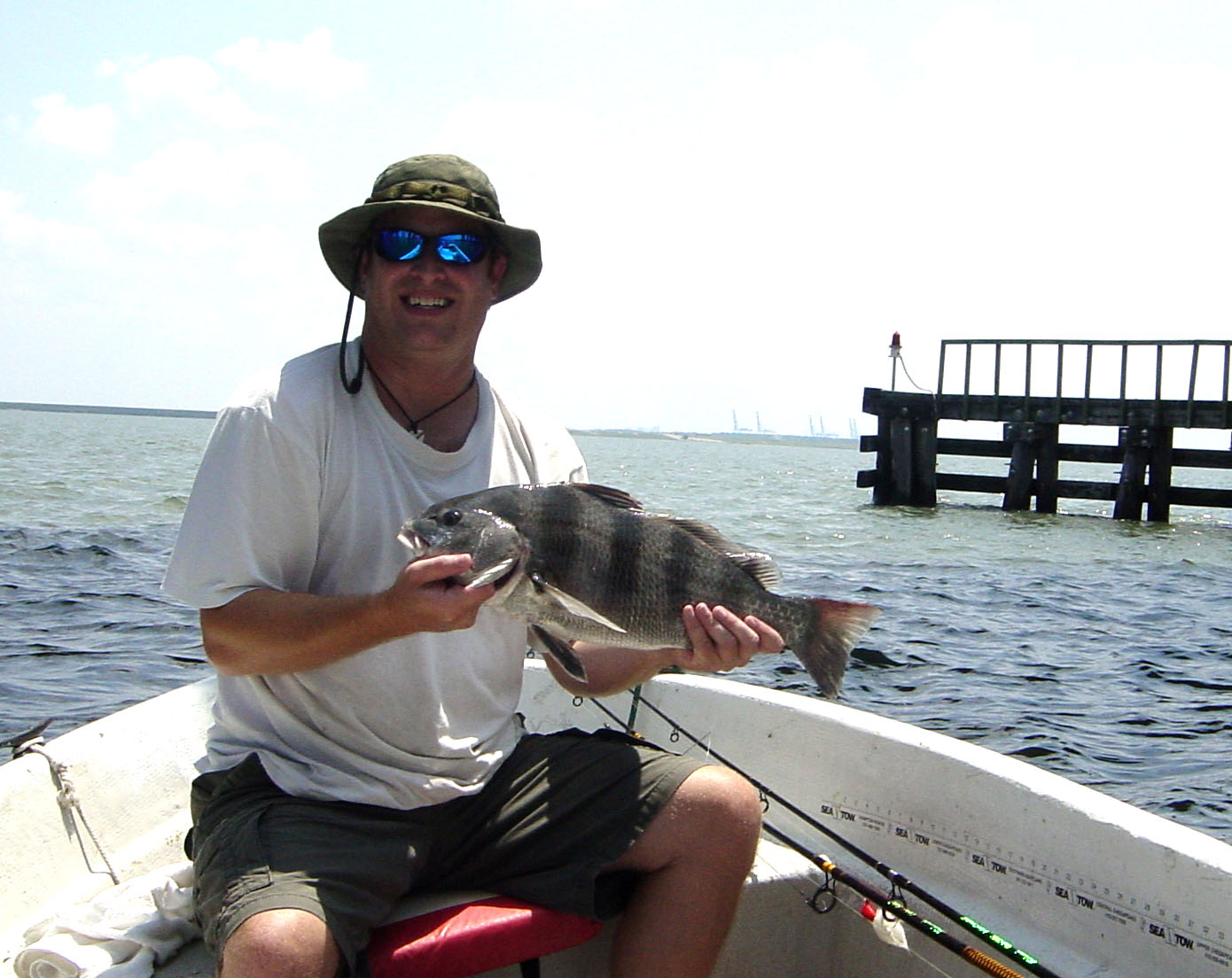 Black Drum Fishing - black drum art