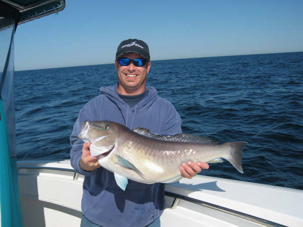 Blueline Tilefish Fishing - Tilefish art