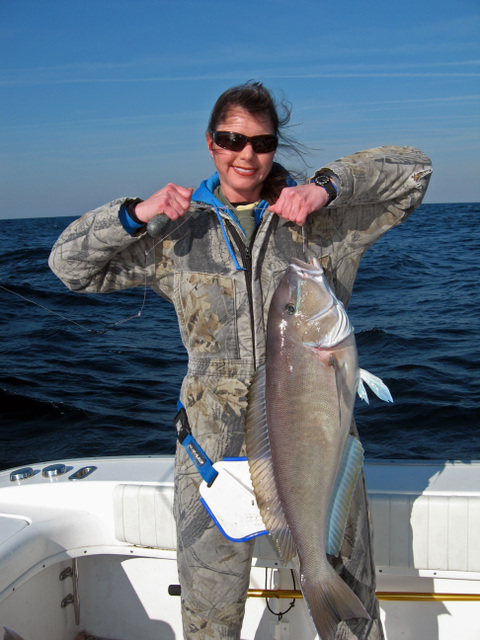 Blueline Tilefish Fishing - Tilefish art