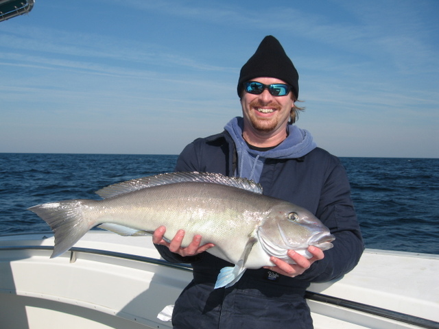 Blueline Tilefish Fishing - Tilefish art