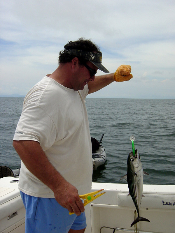 Bonito Fishing - Bonito art