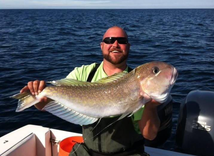 Golden Tilefish Fishing - Golden Tilefish art