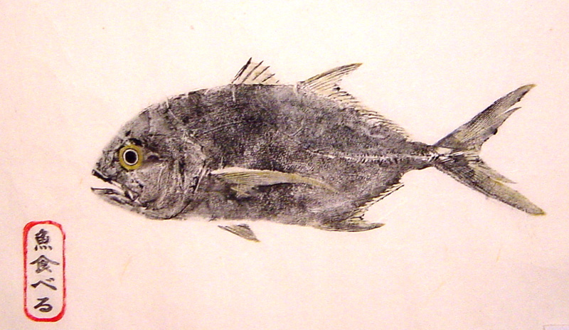 Jack Crevalle Fishing - Jack Crevalle art
