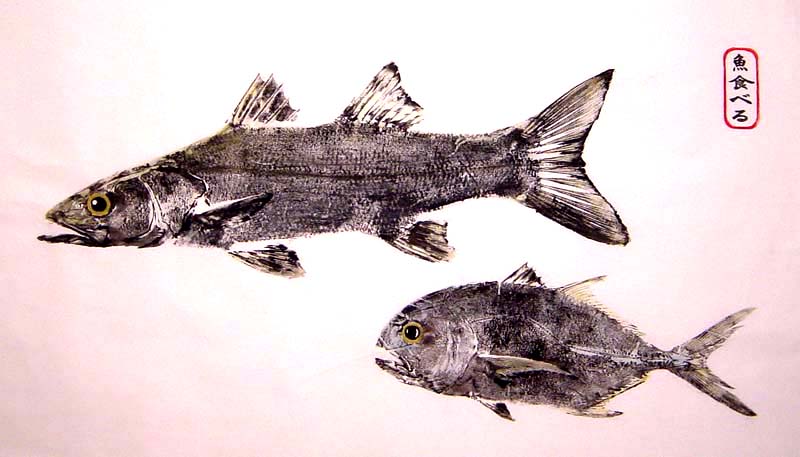 Jack Crevalle Fishing - Jack Crevalle art