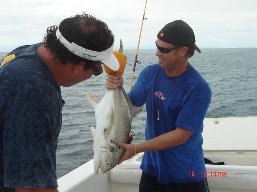 Jack Crevalle Fishing - Jack Crevalle art
