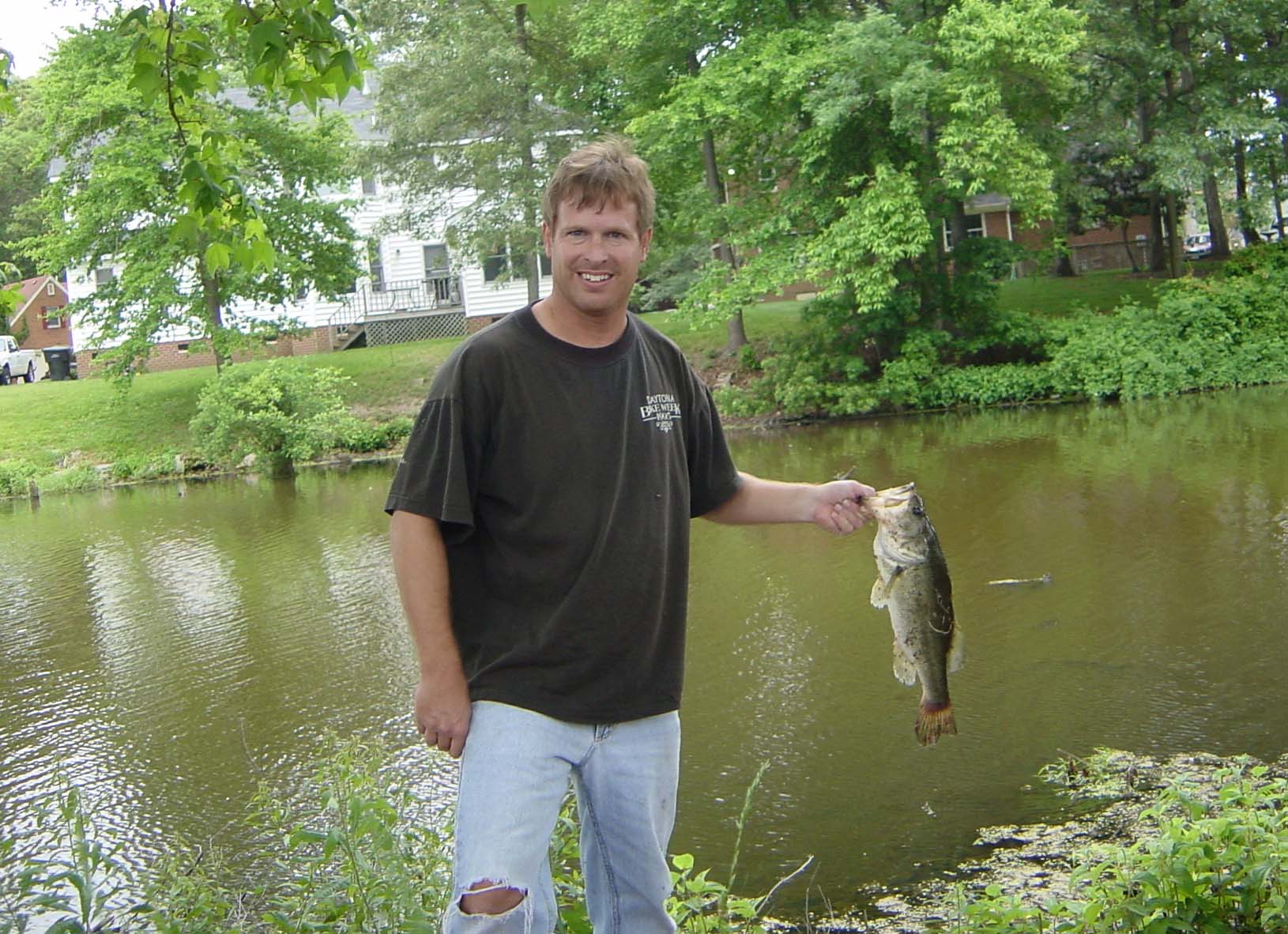 Largemouth Bass Fishing - Largemouth Bass art