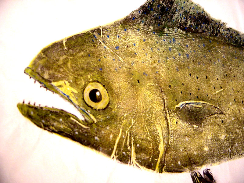 Mahi-mahi fishing - Mahi-mahi art