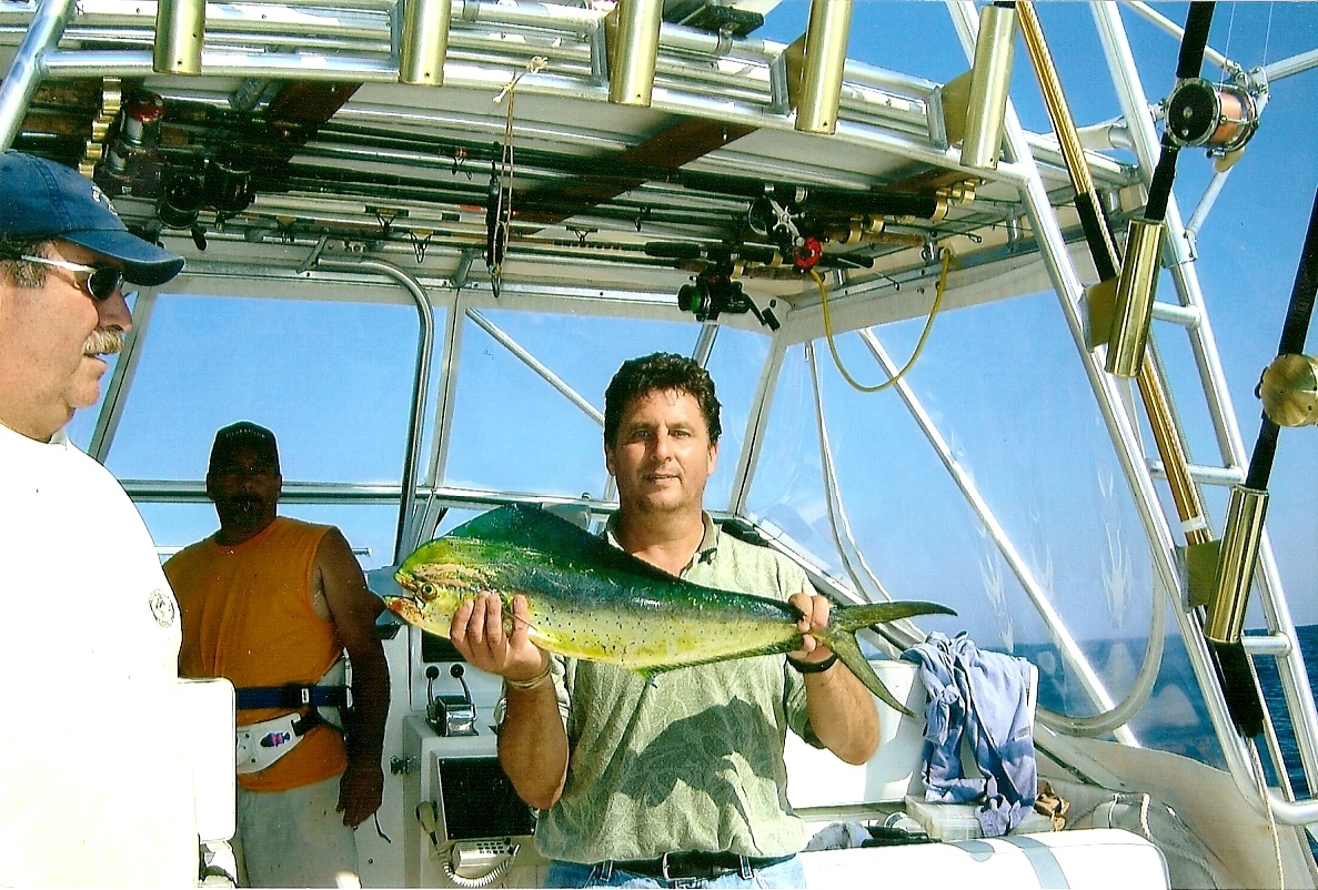 Mahi-mahi fishing - Mahi-mahi art
