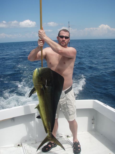 Mahi-mahi fishing - Mahi-mahi art