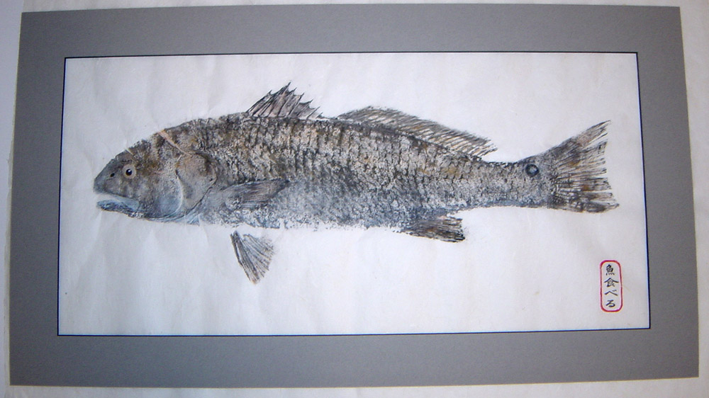 Red Drum Fishing - Red Drum art