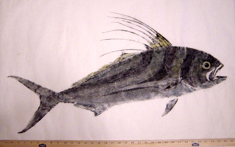 Roosterfish fishing - roosterfish gyotaku - roosterfish art