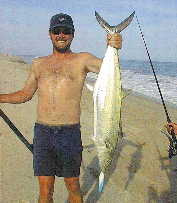 Sierra Mackerel Fishing - Sierra Mackerel art