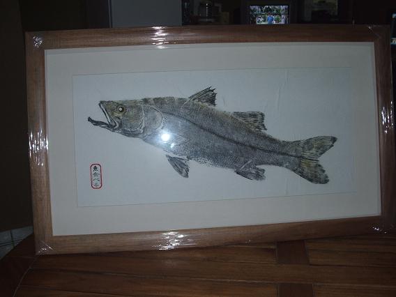 snook fishing photos - snook gyotaku