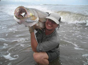 snook Fishing Costa Rica - Black Snook