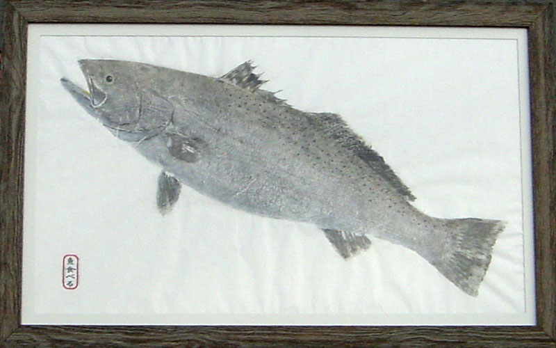 Speckled Trout Fishing - Speckled Trout art