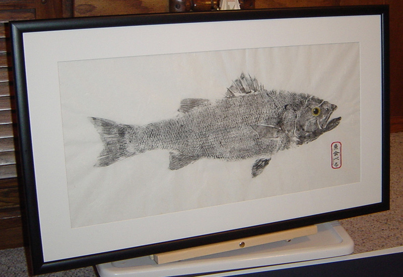 Striped Bass Fishing - rockfish art