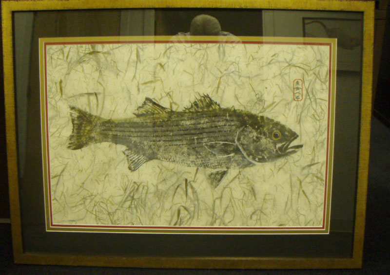 Striped Bass Fishing - rockfish art
