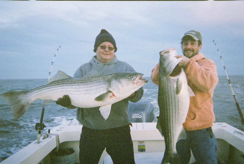 Striped Bass Fishing - rockfish art