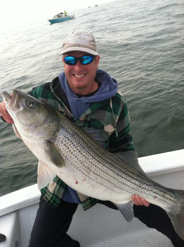 Striped Bass Fishing - rockfish art