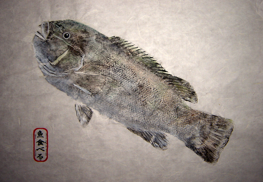 Tautog Fishing - Tautog art