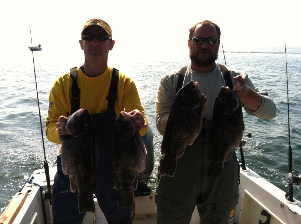 Tautog Fishing - A nice Tautog