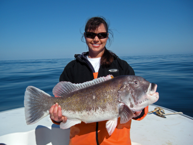 Tautog Fishing - Tautog Photo