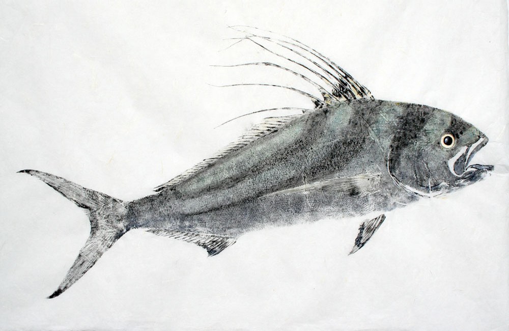 Roosterfish Gyotaku Rubbing