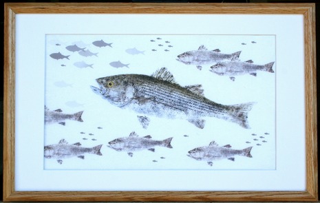 Gyotaku Giclee Prints